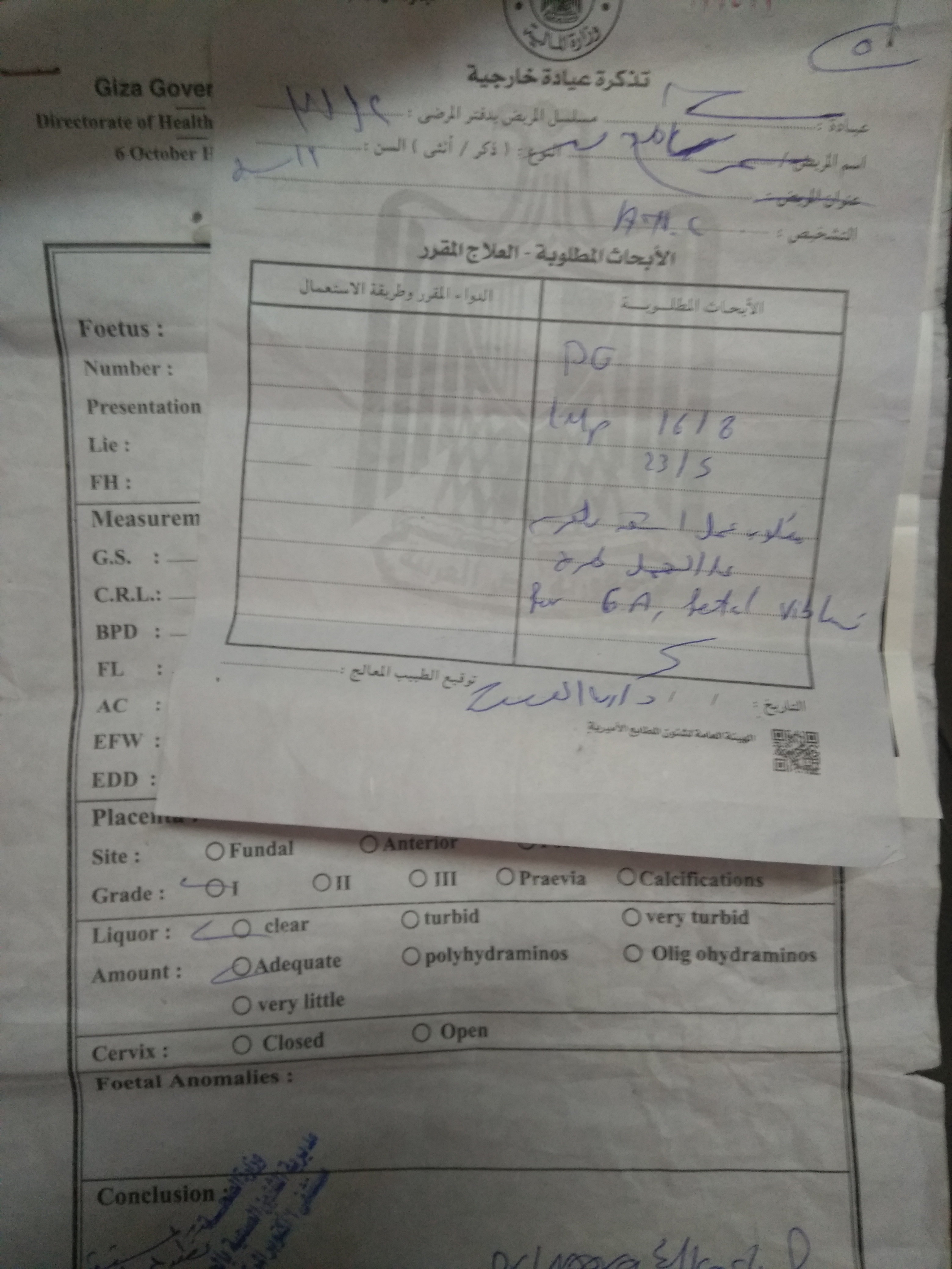 التقرير الطبى الخاص بالمجنى عليها التقرير الطبى الخاص بالمجنى عليها
