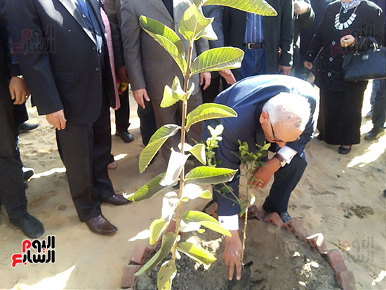 محافظ كفرالشيخ ونقيب المعلمين يطلقان مشروع زراعة الأشجار المثمرة (8)