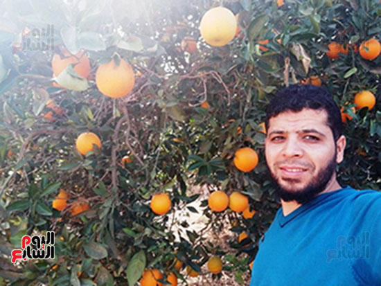 تكويد المزارع (9)
