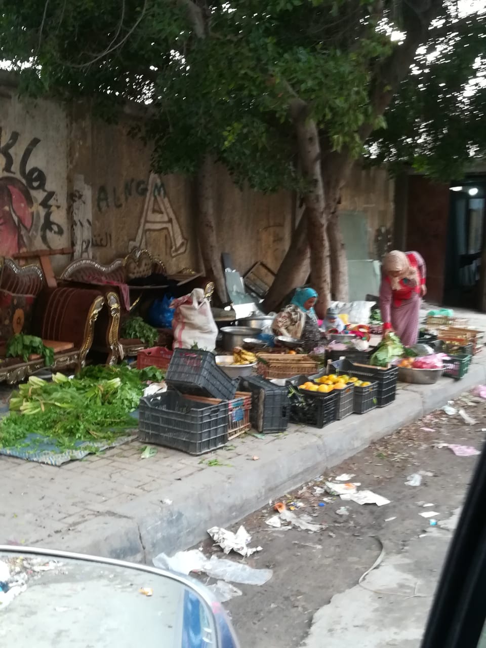 انتشار القمامة بمدخل كفر عبده بالإسكندرية  (6)