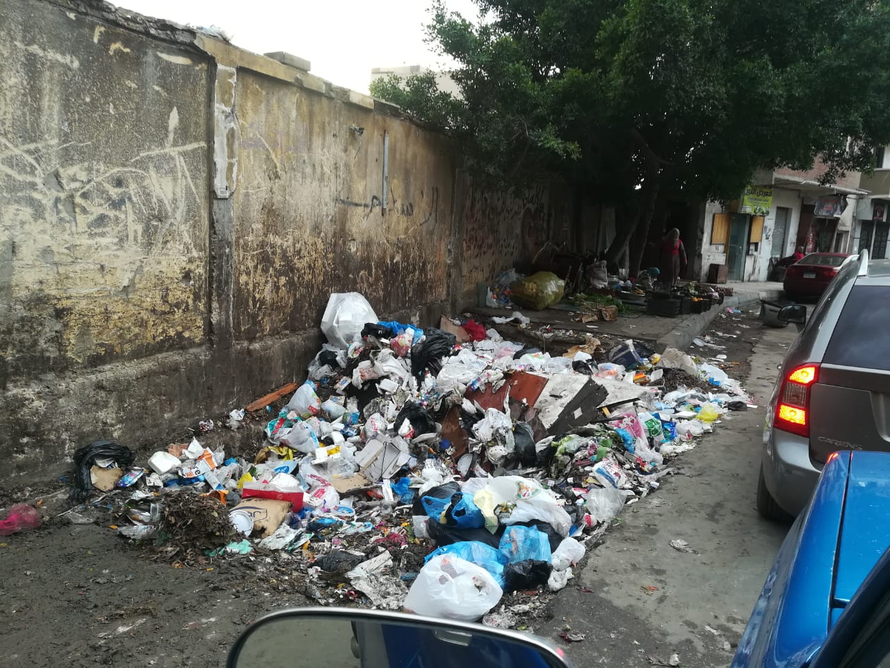 انتشار القمامة بمدخل كفر عبده بالإسكندرية  (1)