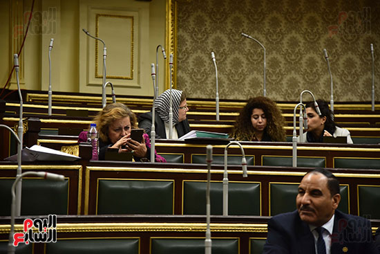 مجلس النواب البرلمان (12)
