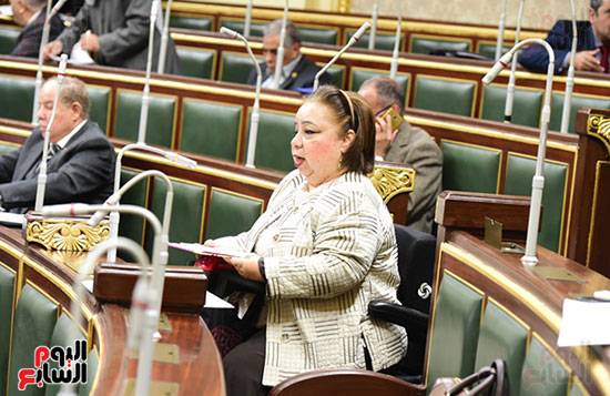 مجلس النواب البرلمان (20)