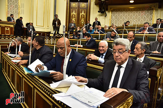 مجلس النواب البرلمان (4)