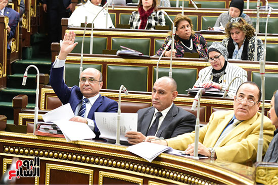 مجلس النواب البرلمان (29)