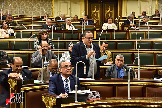 مجلس النواب البرلمان (5)