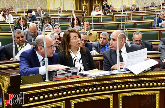 مجلس النواب البرلمان (17)
