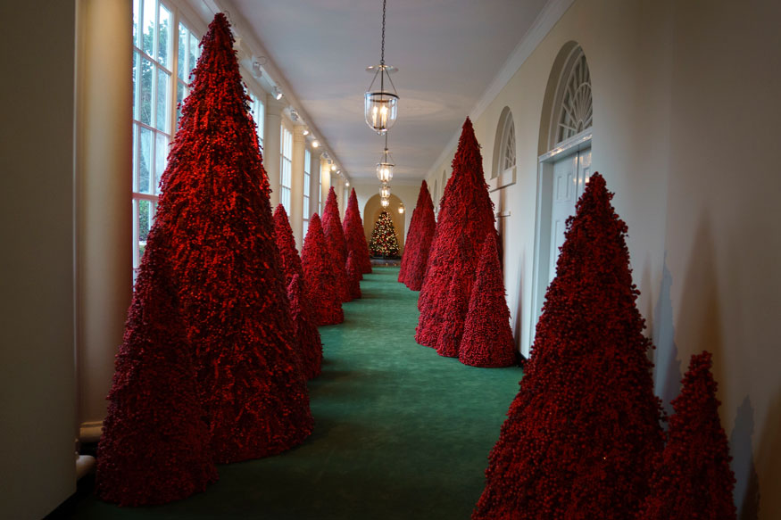 أشجار الكريسماس الحمراء