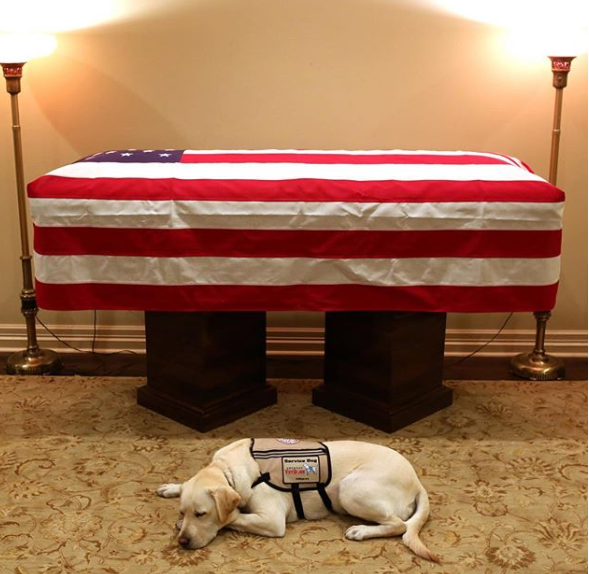 حزن سولى على وفاة الرئيس الأمريكى جورج بوش الأب