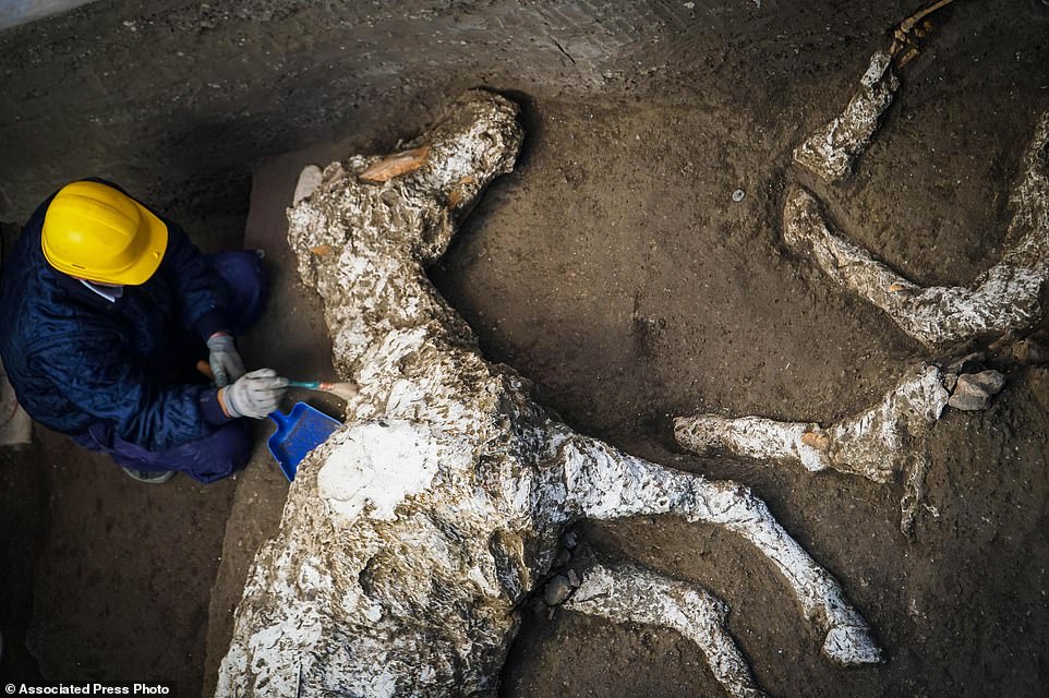 7766036-6525249-An_archaeologist_inspects_the_remains_of_a_horse_skeleton_in_the-a-16_1545643439758