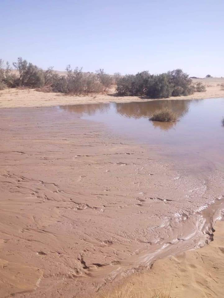 سواتر ترابية حول برك الصرف الصحى بمدينة الخارجة (6)