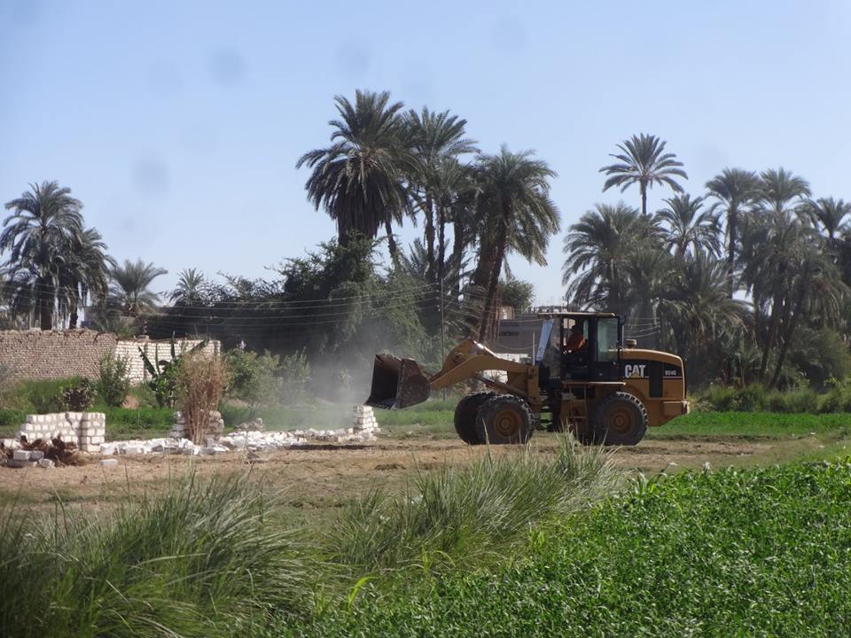 محافظة الأقصر تواصل إزالة تعديات الأراضي الزراعية وتنفذ 119 قرار في 3 مدن (5)