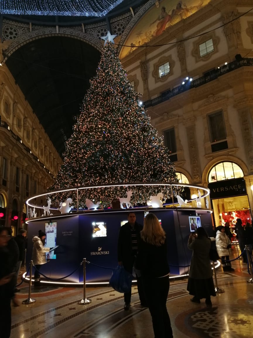 أشجار الكريسماس بمدينة ميلانو الإيطالية