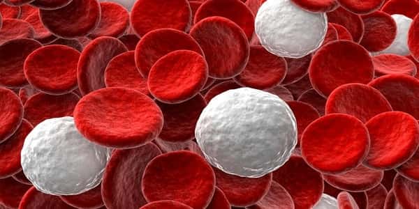 خلايا الدم البي