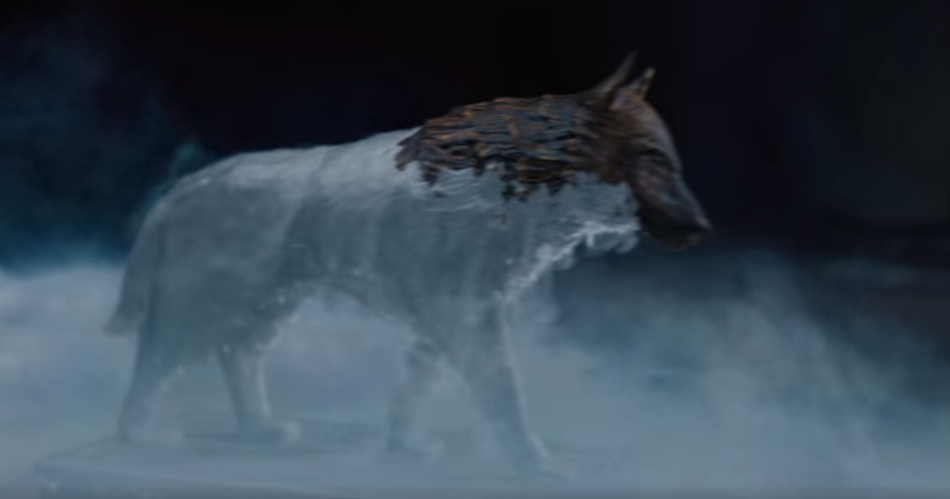 تغطية الذئب بالجليد