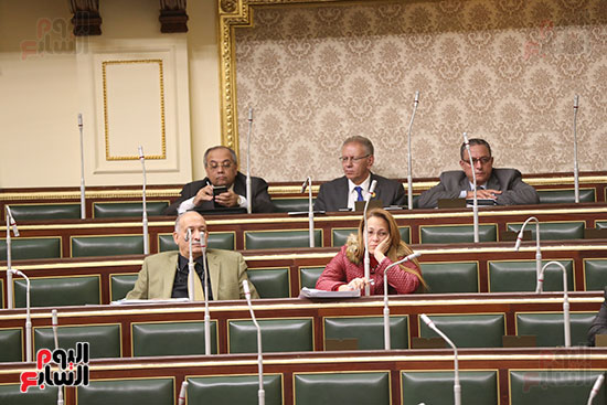 مجلس النواب (16)