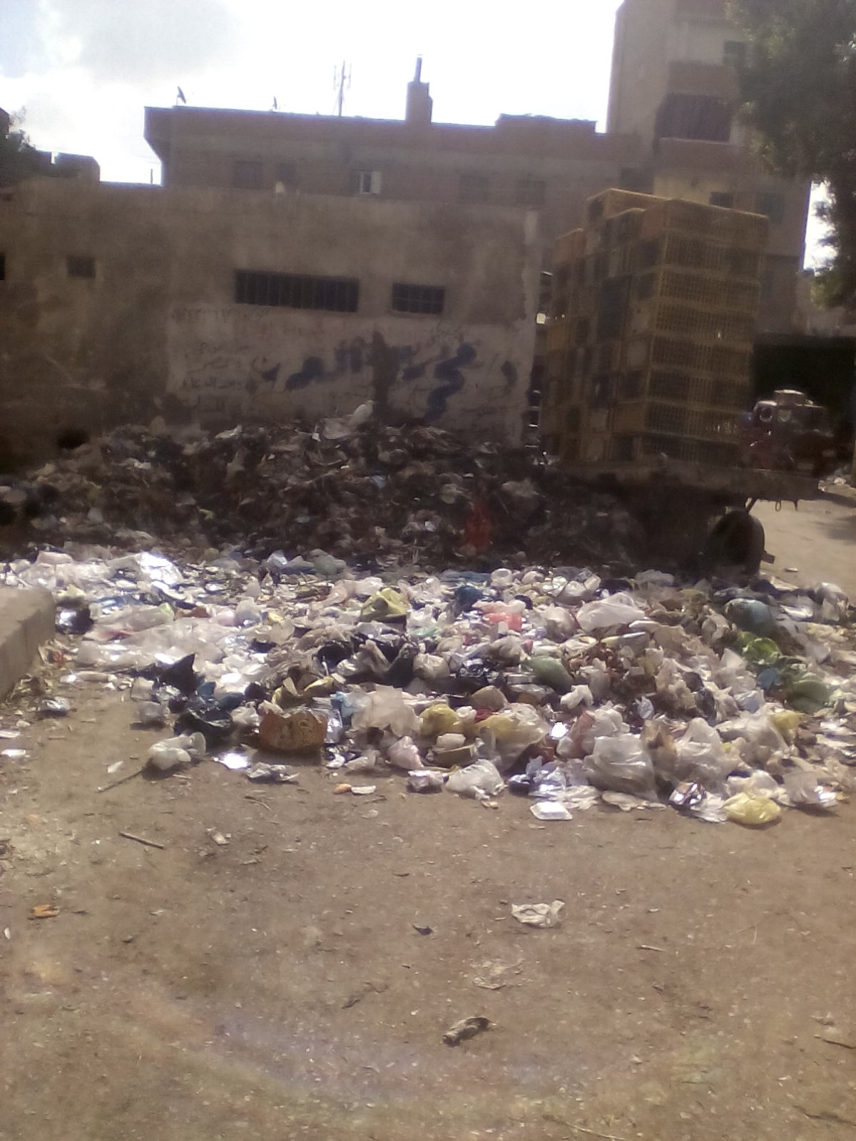 القمامة تحاصر شارع المحطة بشبين الكوم (2)