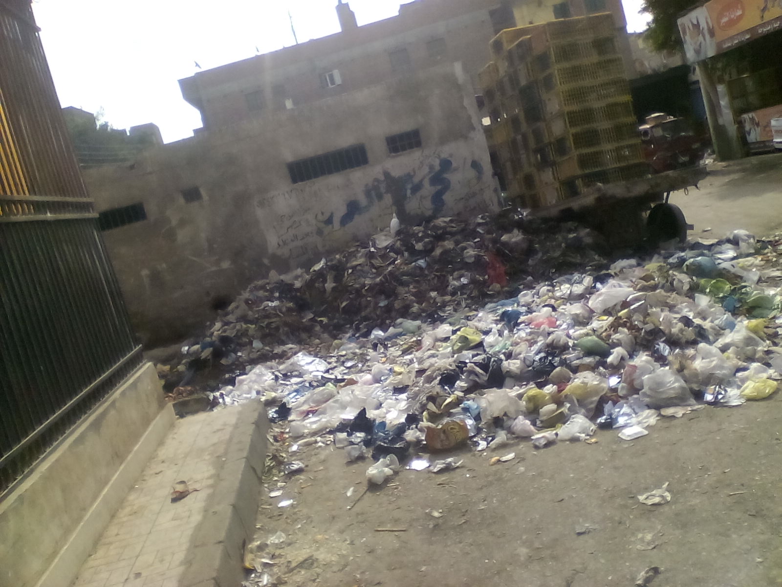 القمامة تحاصر شارع المحطة بشبين الكوم (3)