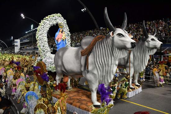 مجسمات لأبقار والسيدة مريم فى كرنفال السامبا بالبرازيل