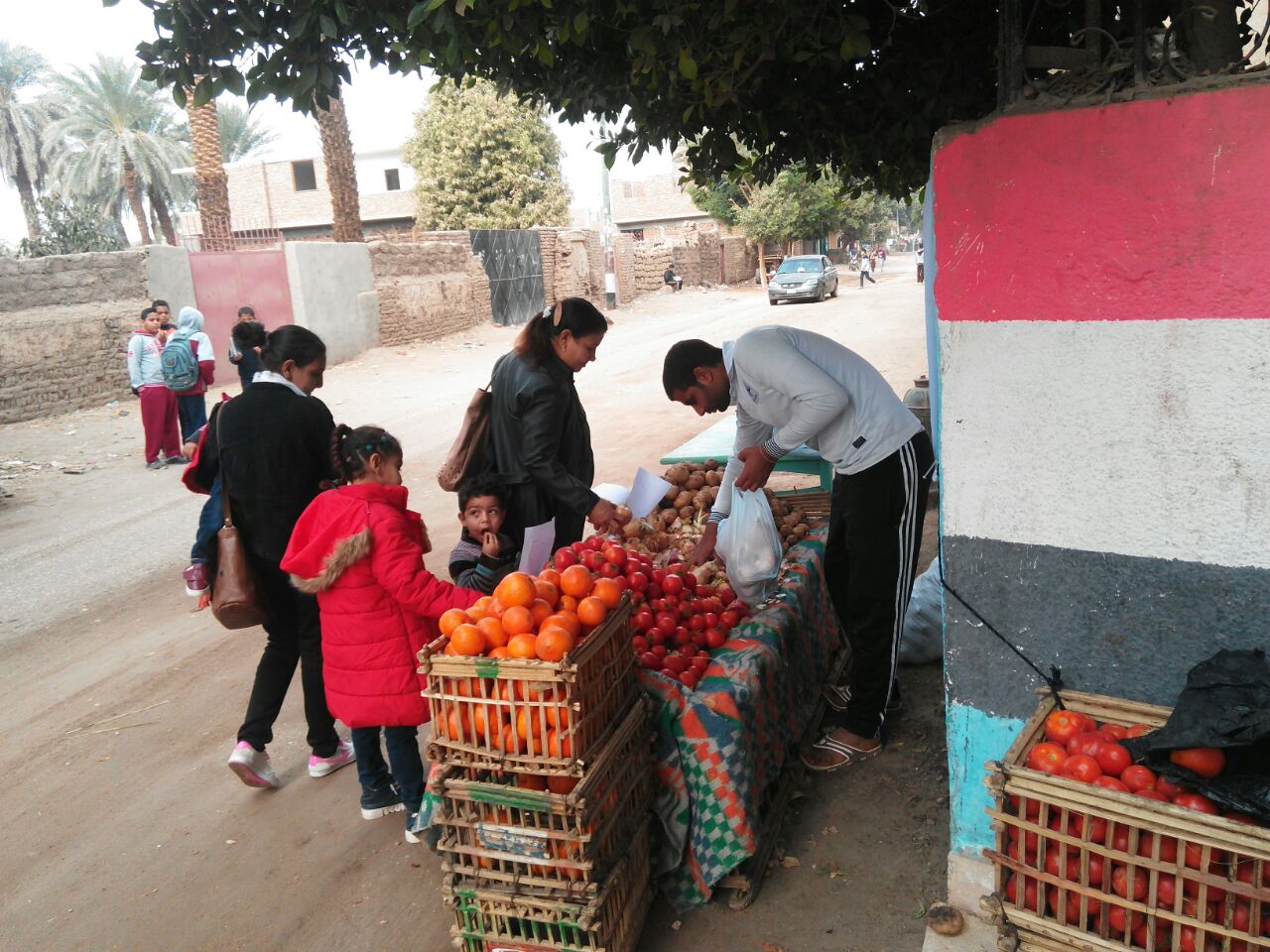 مؤسسة بكرة لينا بالأقصر تنظم شادري خضر وفاكهة بأسعار مخفضة لأهالي مدينة القرنة (1)