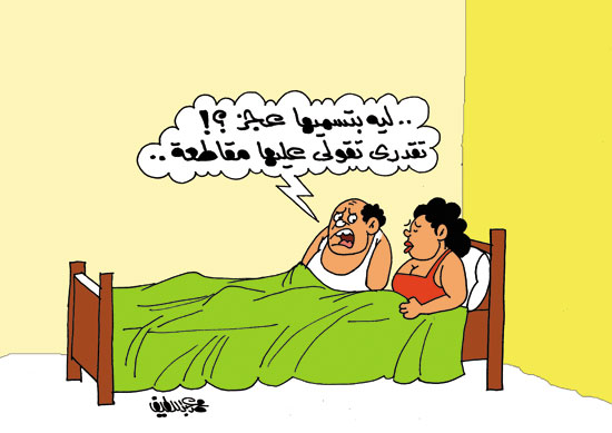 كاريكاتير اليوم السابع (1)