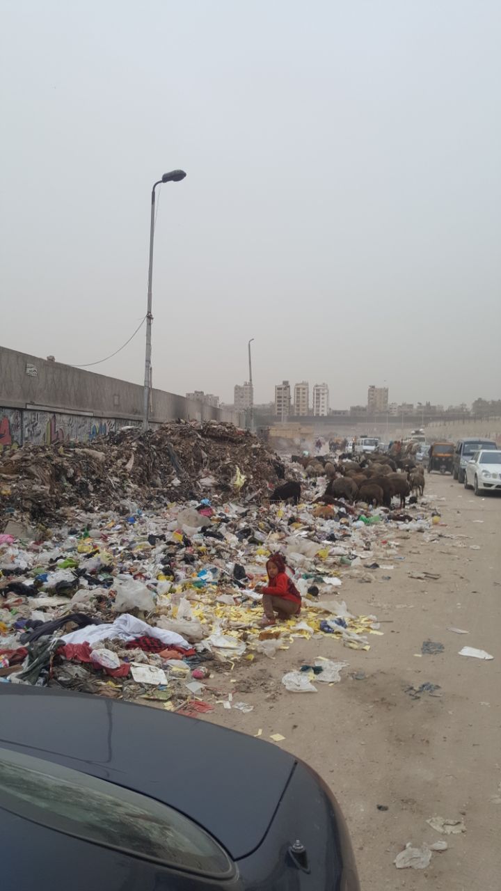 القمامة تحاصر أسوار مدينة بدر (3)