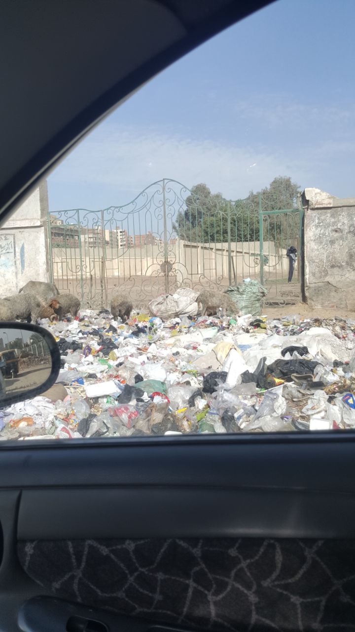 القمامة تحاصر أسوار مدينة بدر (6)