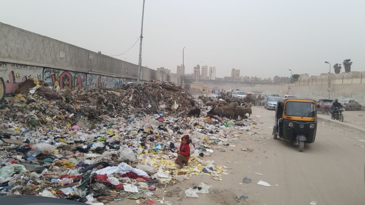 القمامة تحاصر أسوار مدينة بدر (4)
