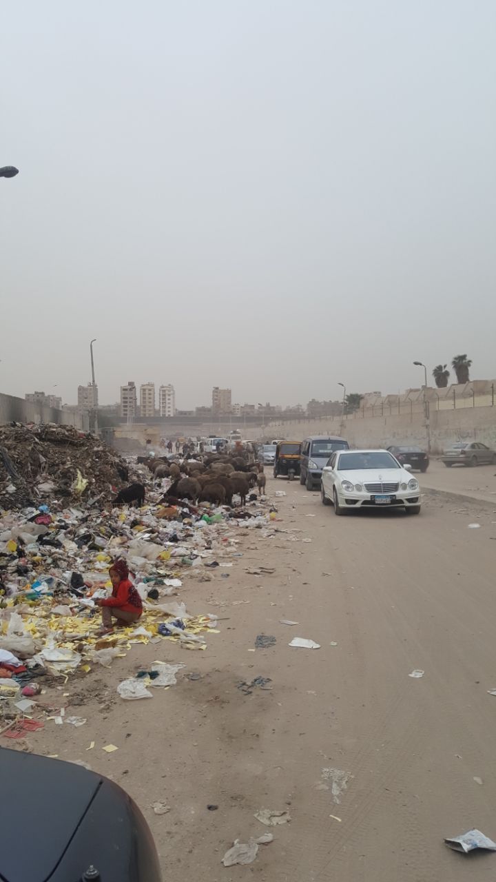 القمامة تحاصر أسوار مدينة بدر (7)