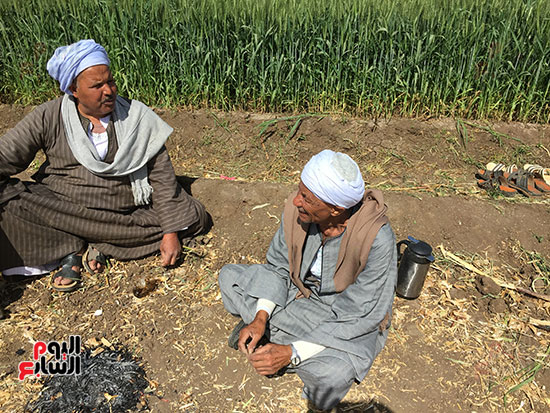 المزارعون يتداولون الحديث حول أنخفاض سعر البصل