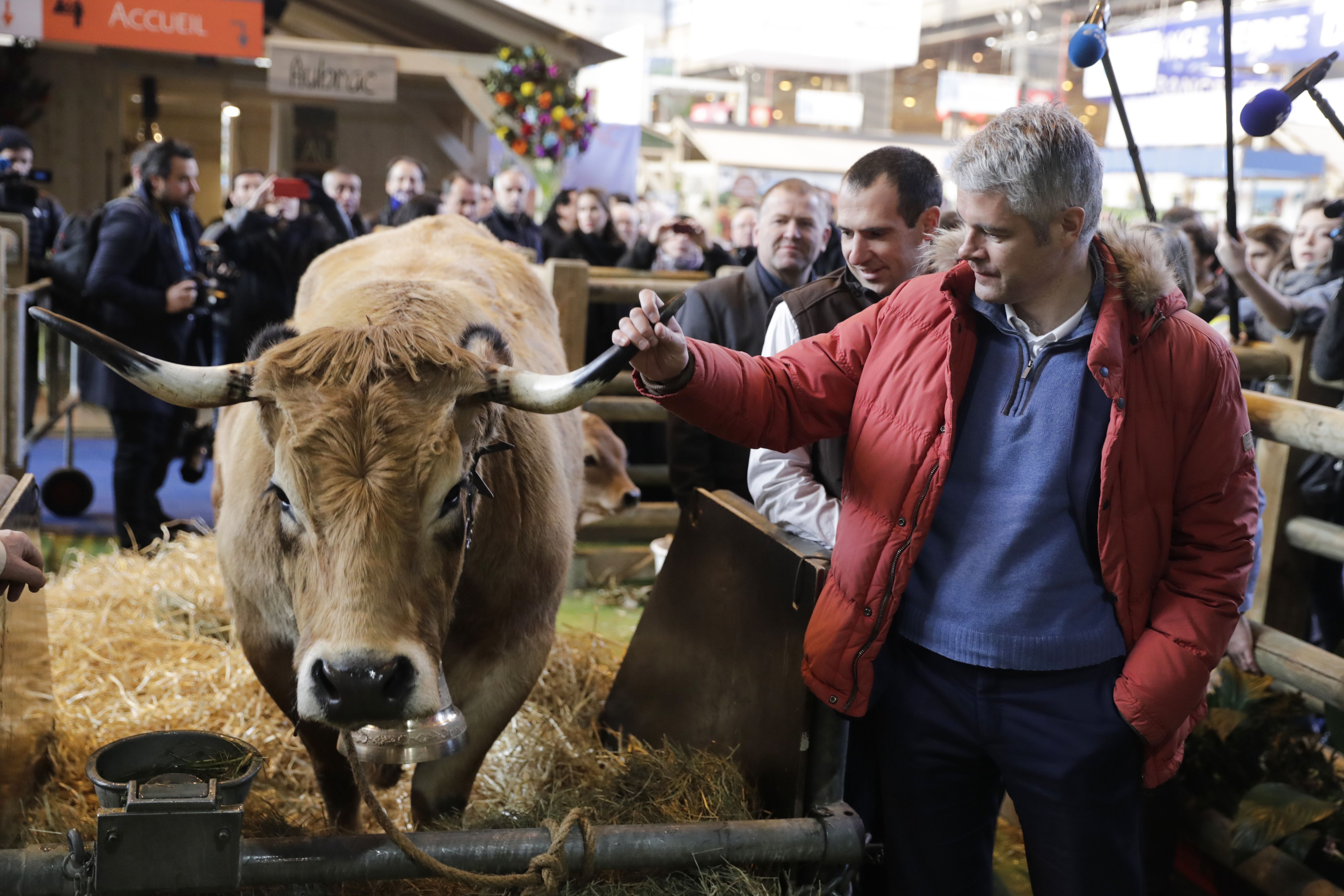 زعيم المعارضة اليمينى الفرنسى يداعب حيوانات معرض الزراعة