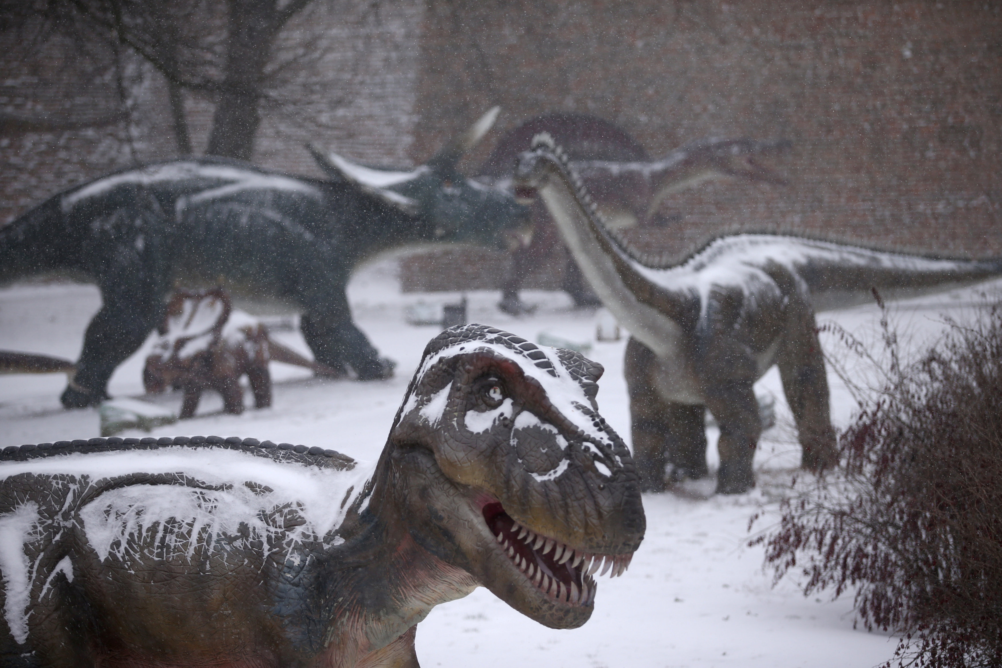 تساقط كثيف للثلوج بأحد متاحف الديناصورات