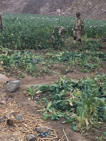 -مقتل-تكفريين--(4)