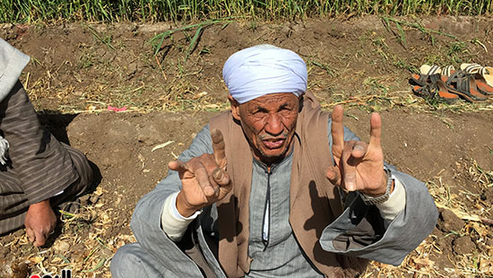 الحاج فاروق يروى لليوم السابع حول ازمة البصل
