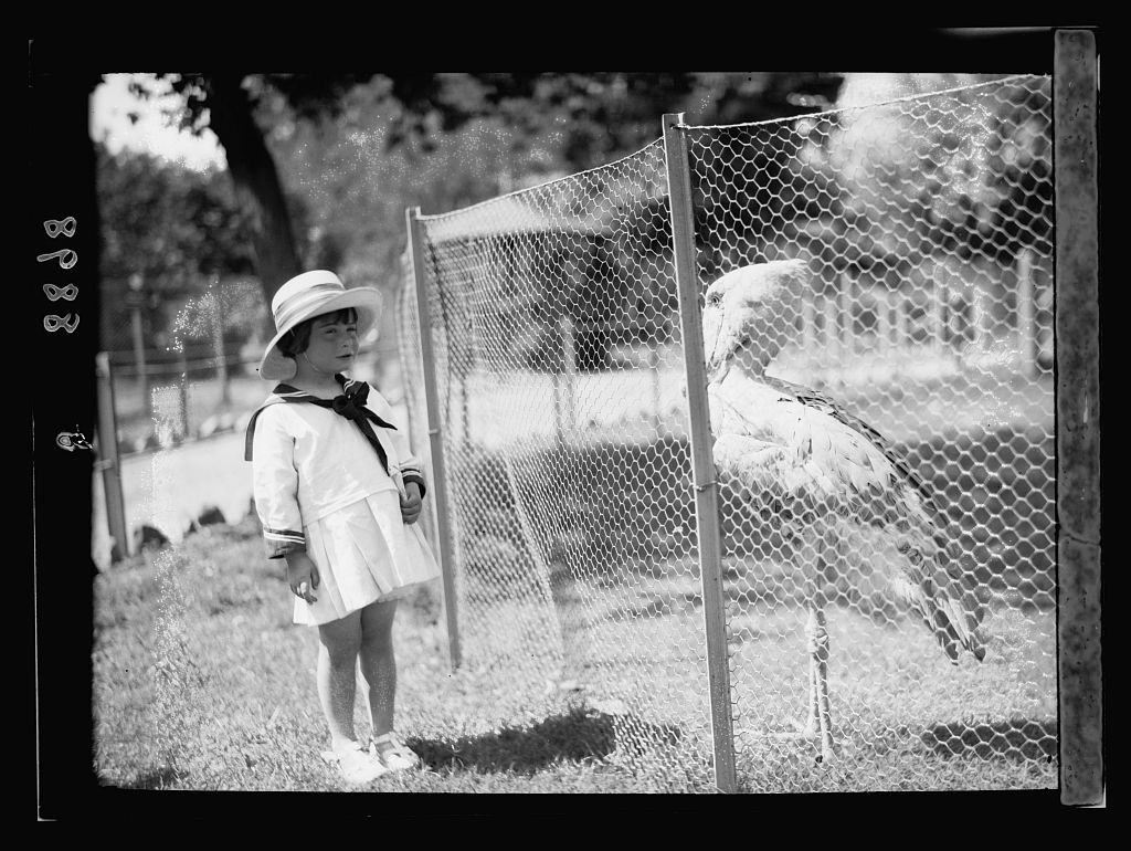 حديقة الحيوان 1934