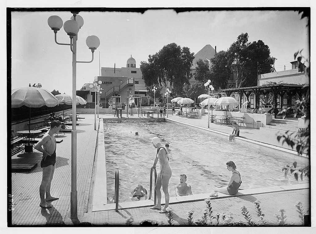 حمام السباحة بفندق مينا هاوس