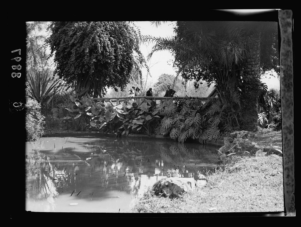 صورة أخرى لكوبرى المشاه 1934