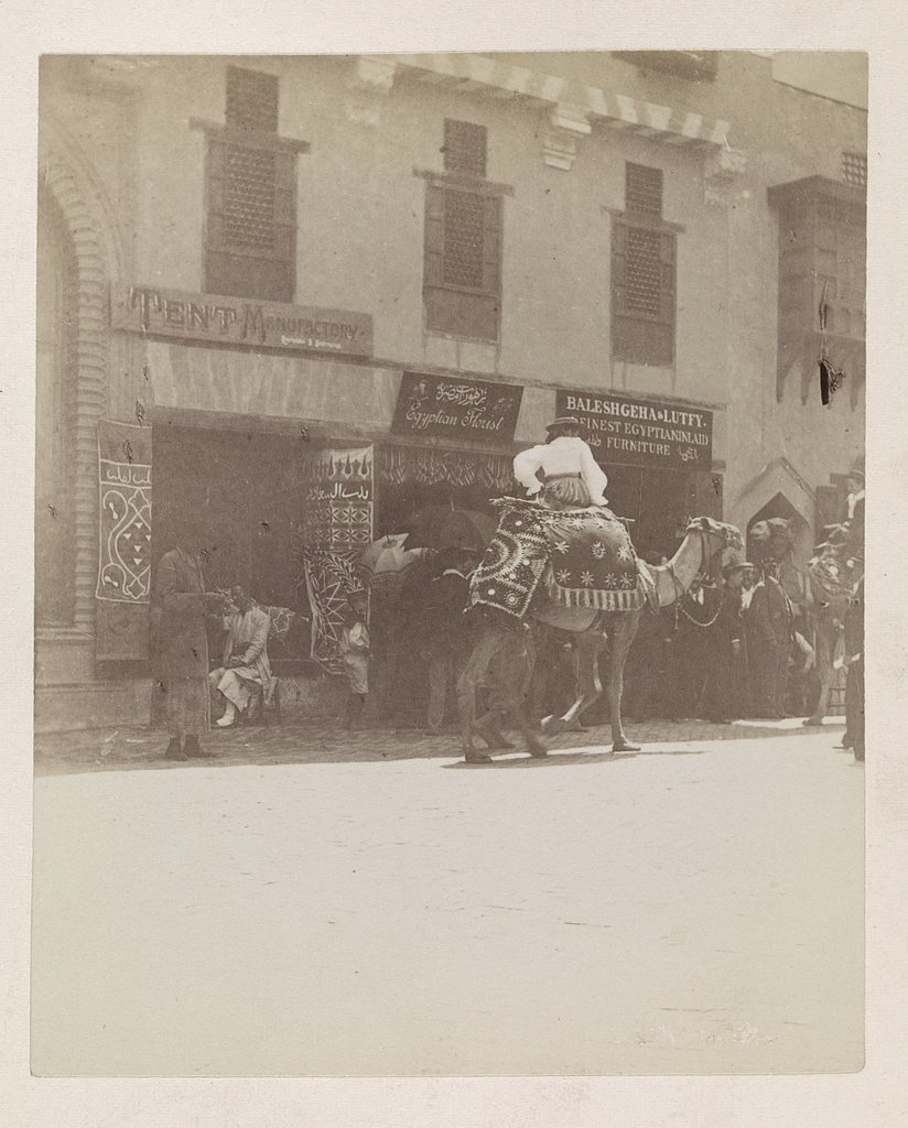 سائحة تتجول بالجمل فى إحدى شوارع القاهرة لعام 1893