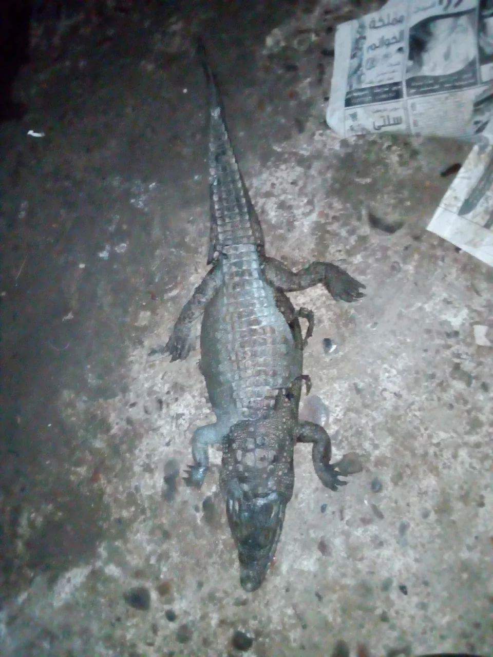 received_1650107438365726