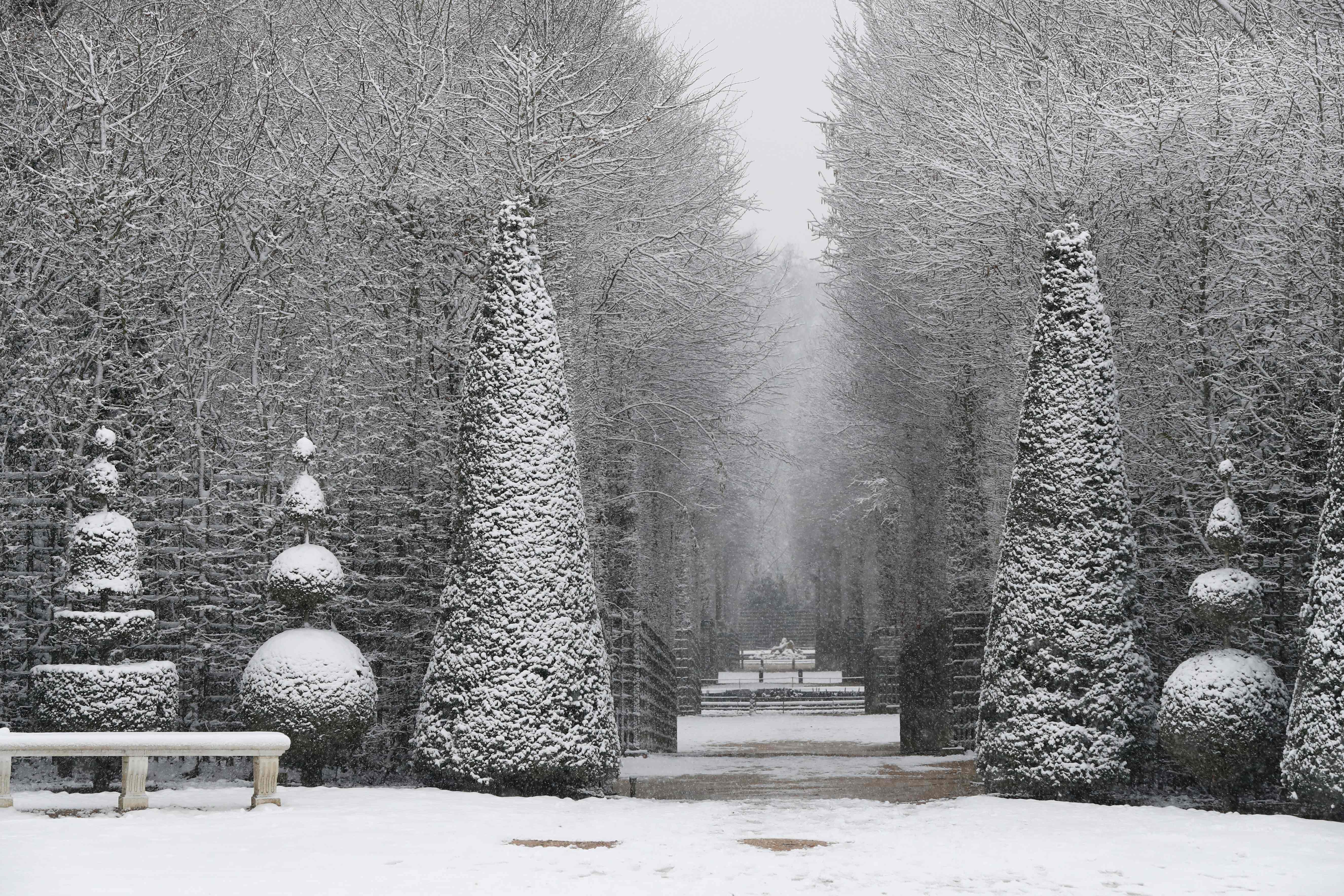 الثلوج تغطى الأشجار فى فرنسا