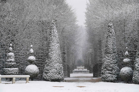 الثلوج تغطى الأشجار فى فرنسا