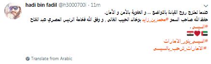 مغرد إماراتى يحتفى بالسيسى