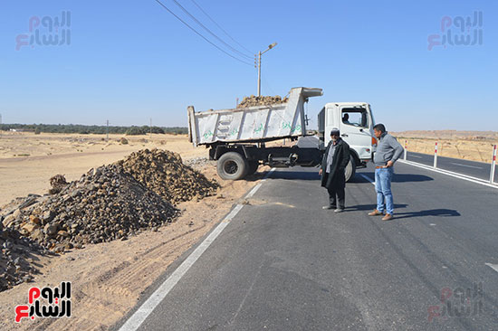 صور تشجير طريق الخارجة أسيوط حتى مدخل مطار الوادى الجديد (4)