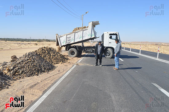 صور تشجير طريق الخارجة أسيوط حتى مدخل مطار الوادى الجديد (5)