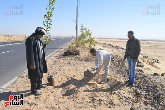 صور تشجير طريق الخارجة أسيوط حتى مدخل مطار الوادى الجديد (2)