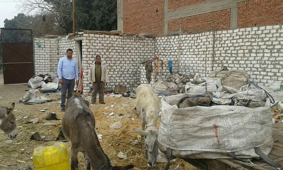 العثور على حمير داخل حوش بأبو زعيل (1)