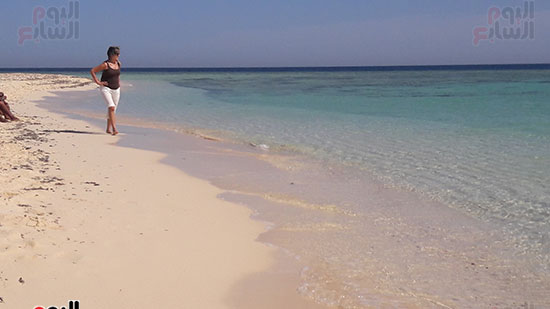 شاطئ جزيرة يوتوبيا بعد نظافته 