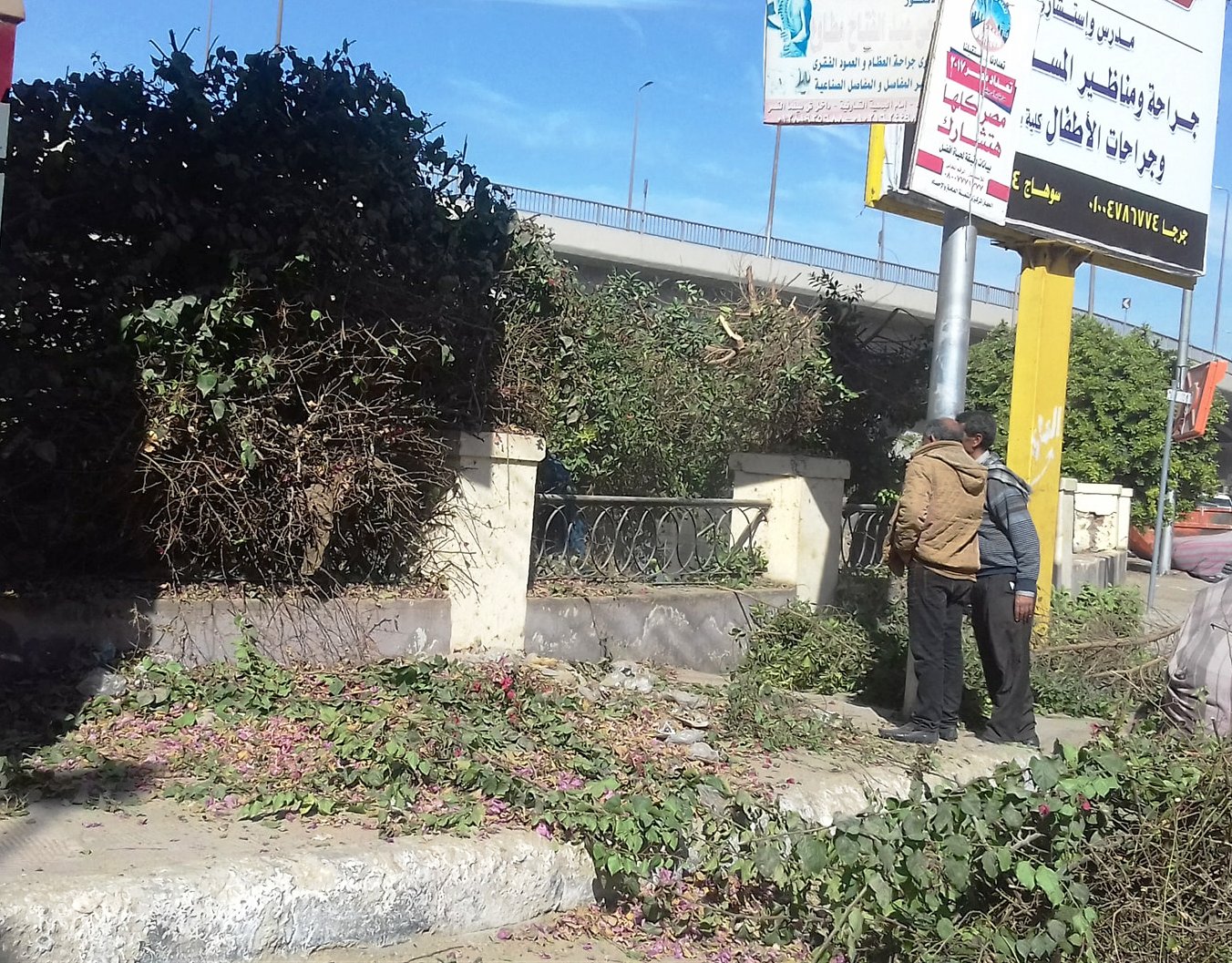 حملة مكبرة للنظافة والتجميل  (5)