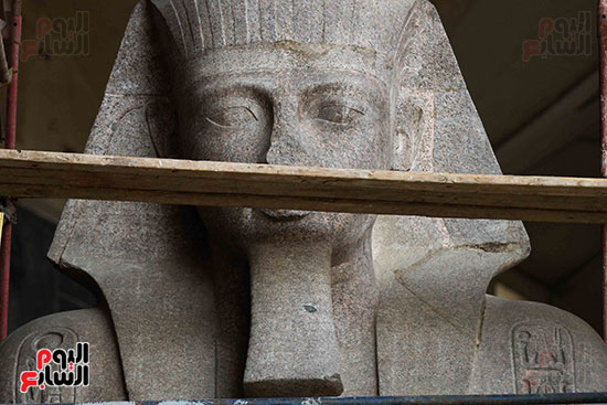 عمود مرنبتاح يستقر بجانب تمثال والده رمسيس الثانى بالمتحف الكبير (16)