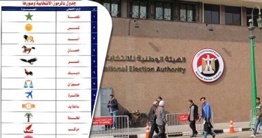 الهيئة الوطنية للانتخابات (2)